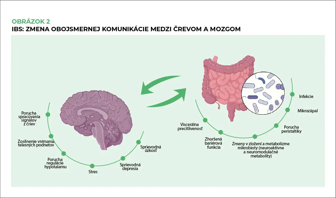 Microbiota intestinală în SII