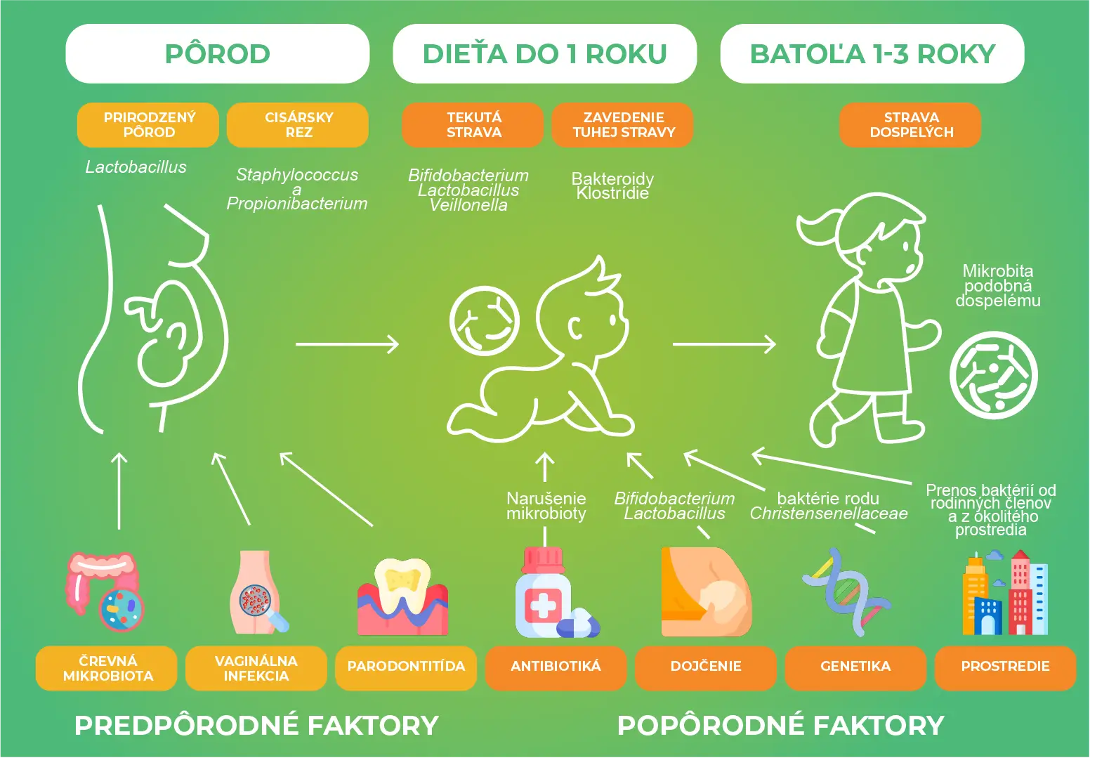 Cum își dobândesc copiii apărătorii bacterieni