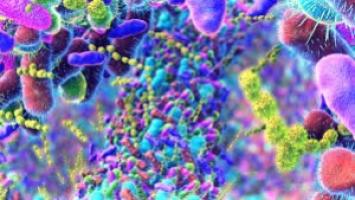 Microbiom