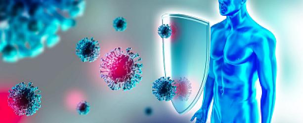 Eficacitatea probioticelor și susținerea imunității: soluțiile Biomie pentru sănătatea intestinală