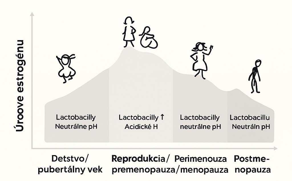 Cum se schimbă microbiomul vaginal în timpul vieții