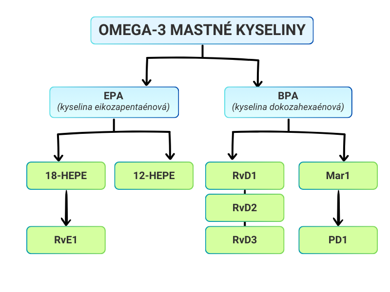 Formarea claselor de SPM din omega-3