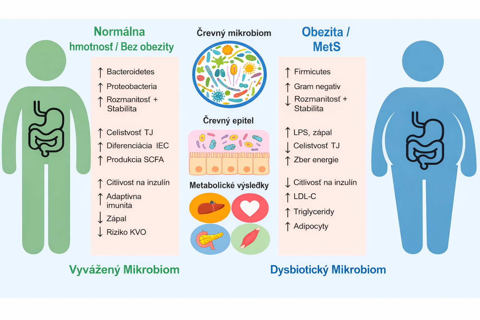 Rolul microbiomului în dezvoltarea obezității